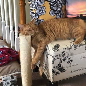 Meet your Posher, Tammy